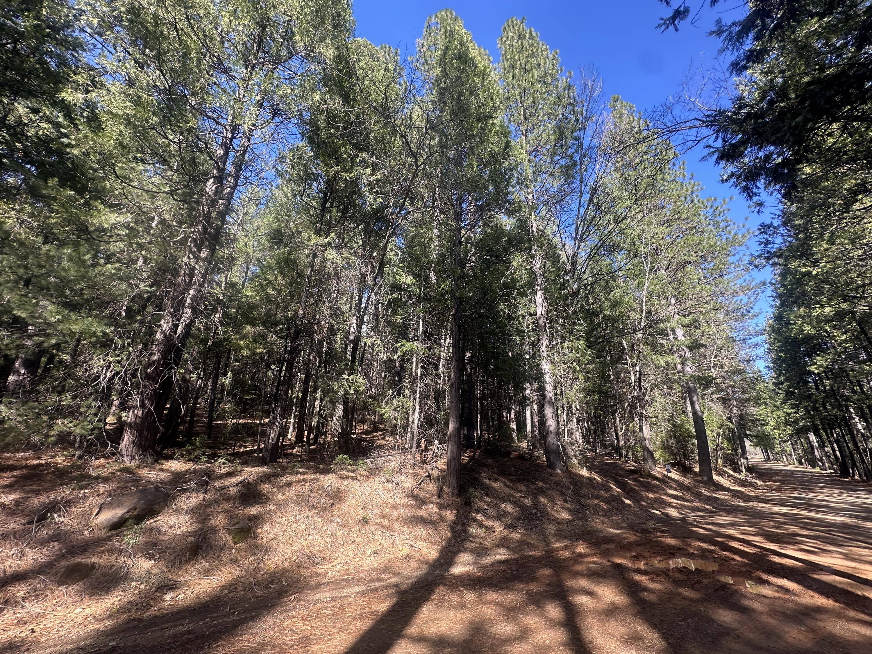 0 Rl Smith Lumber Co Road Oak Run, CA 96069 - Photo 3 of 9 a view of outdoor space and yard