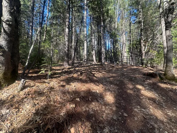 a view of outdoor space with trees