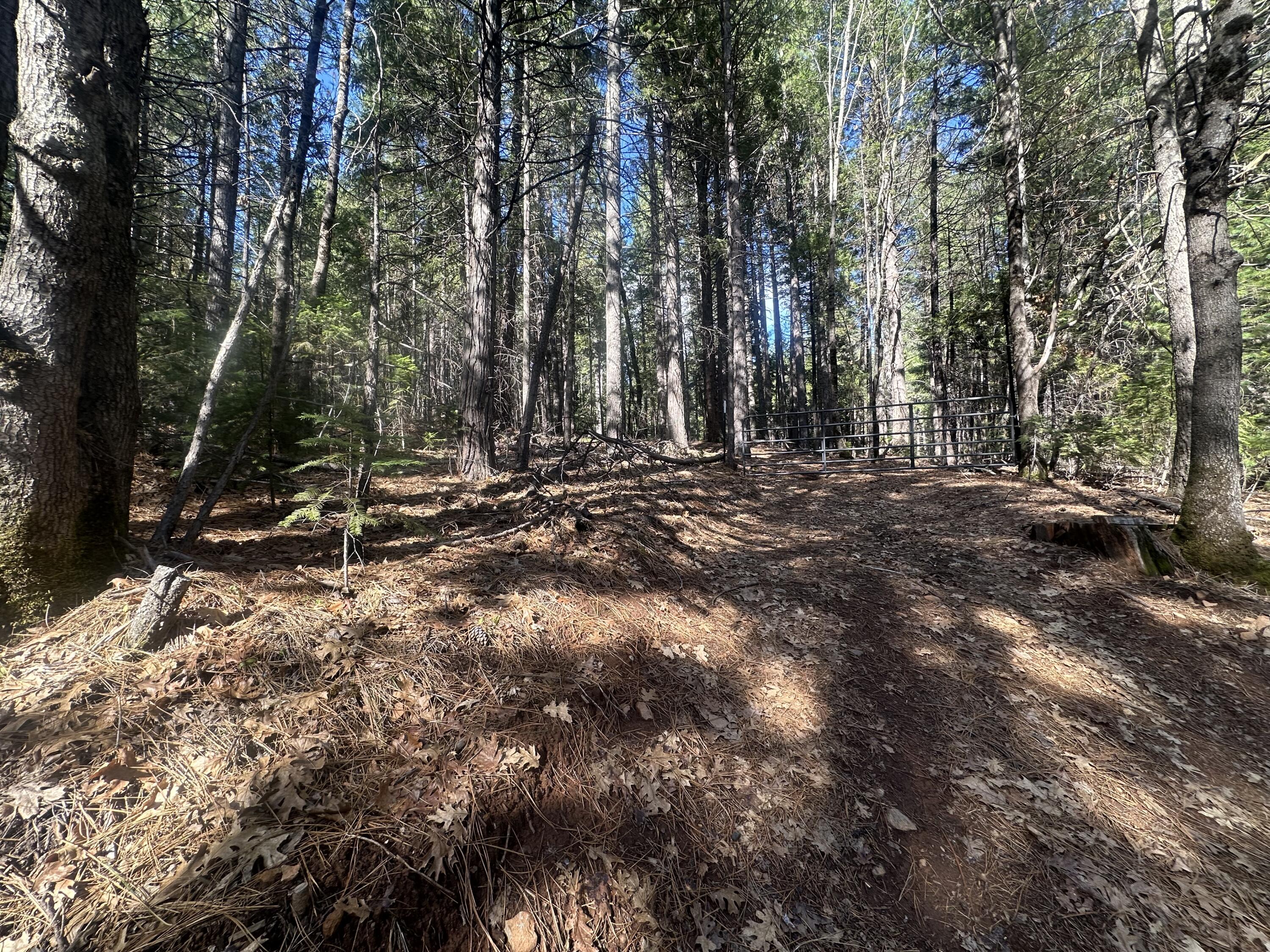 0 Rl Smith Lumber Co Road Oak Run, CA 96069 - Photo 4 of 9 a view of outdoor space with trees