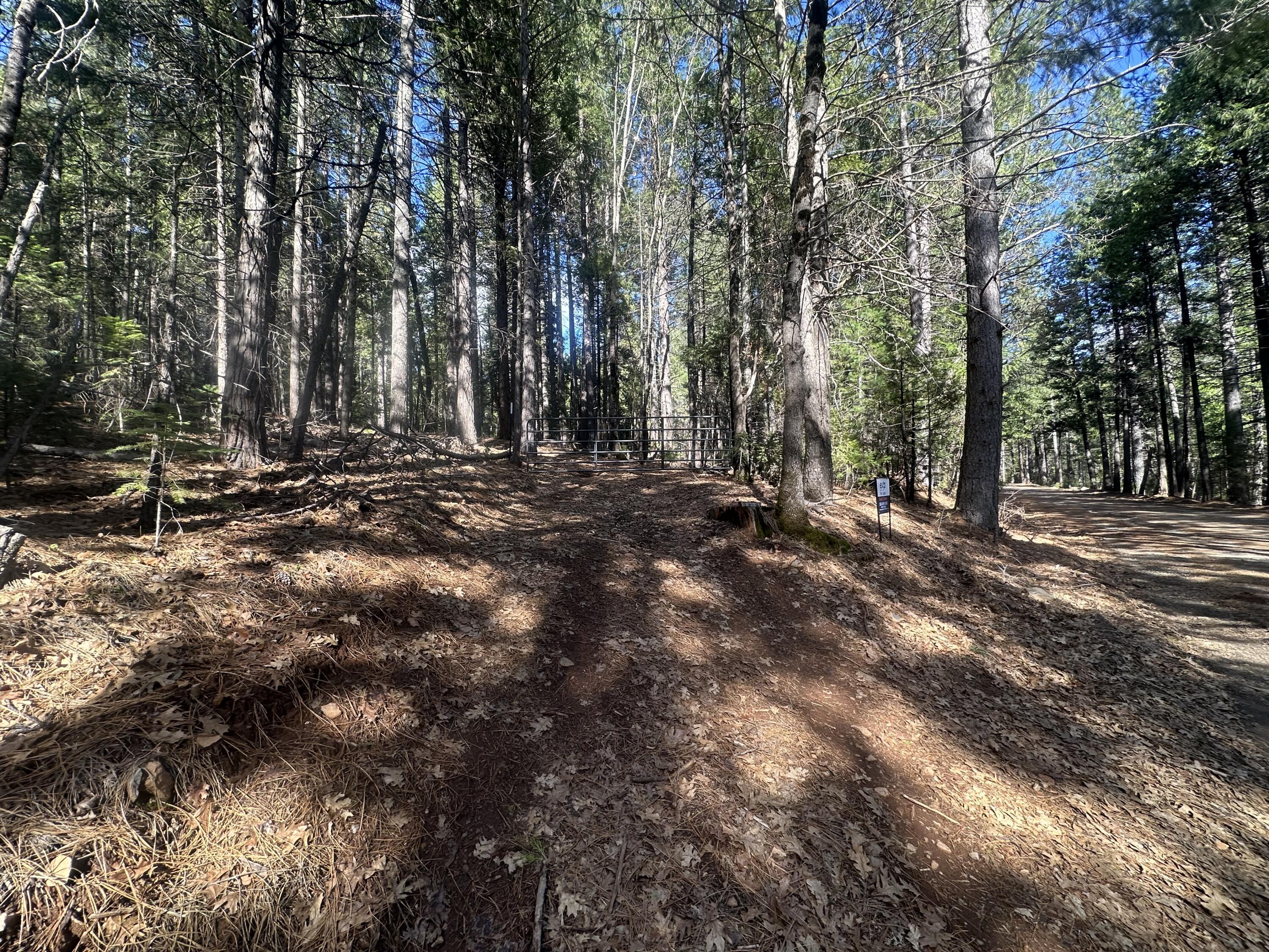 0 Rl Smith Lumber Co Road Oak Run, CA 96069 - Photo 5 of 9 a view of outdoor space with trees