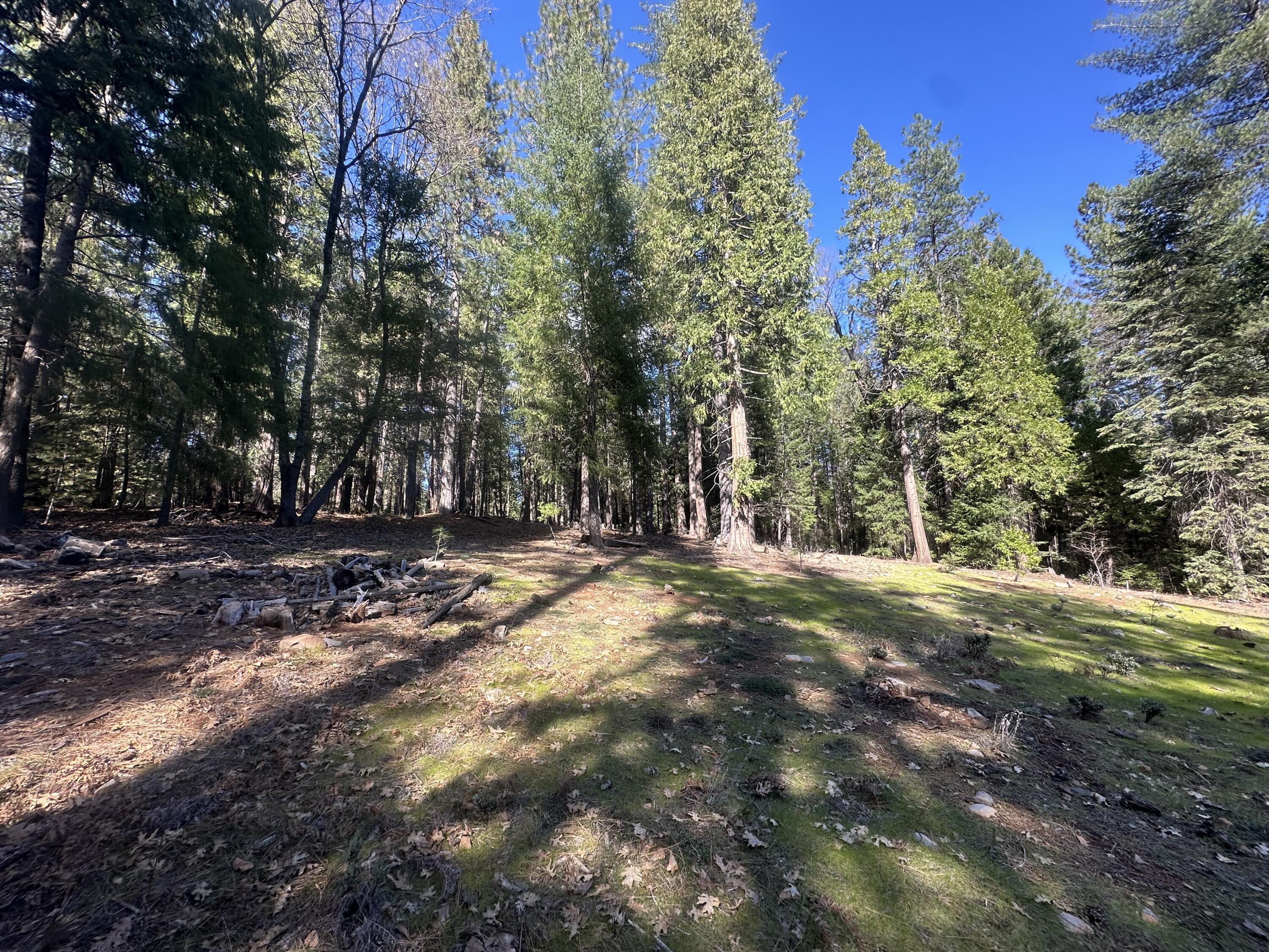 0 Rl Smith Lumber Co Road Oak Run, CA 96069 - Photo 9 of 9 a view of outdoor space with trees