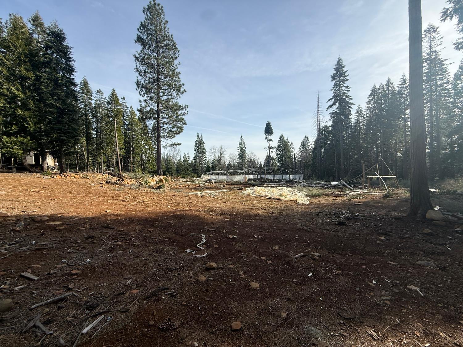 16127 Ophir Silver Road Nevada City, CA 95959 - Photo 5 of 20