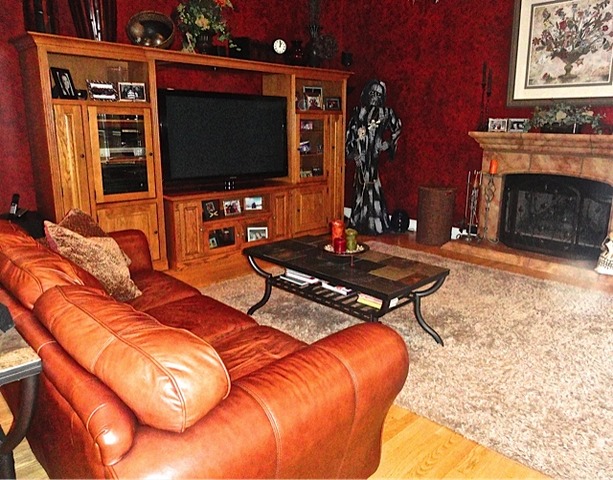 870 Freeman Road Hoffman Estates, IL 60192 - Photo 8 of 9 a living room with furniture a flat screen tv and a fireplace