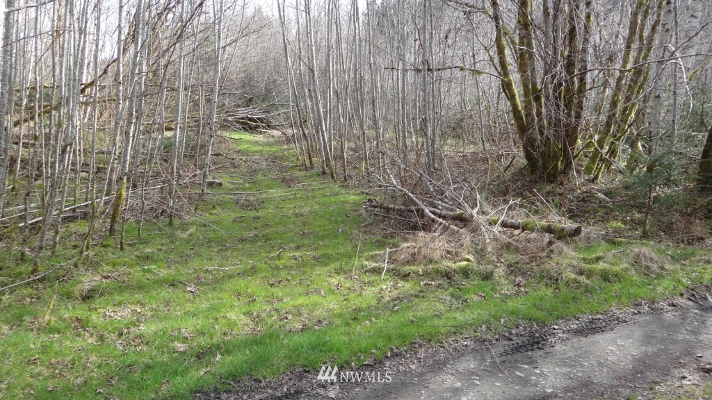 3388 Undi Road Forks, WA 98331 - Photo 14 of 23