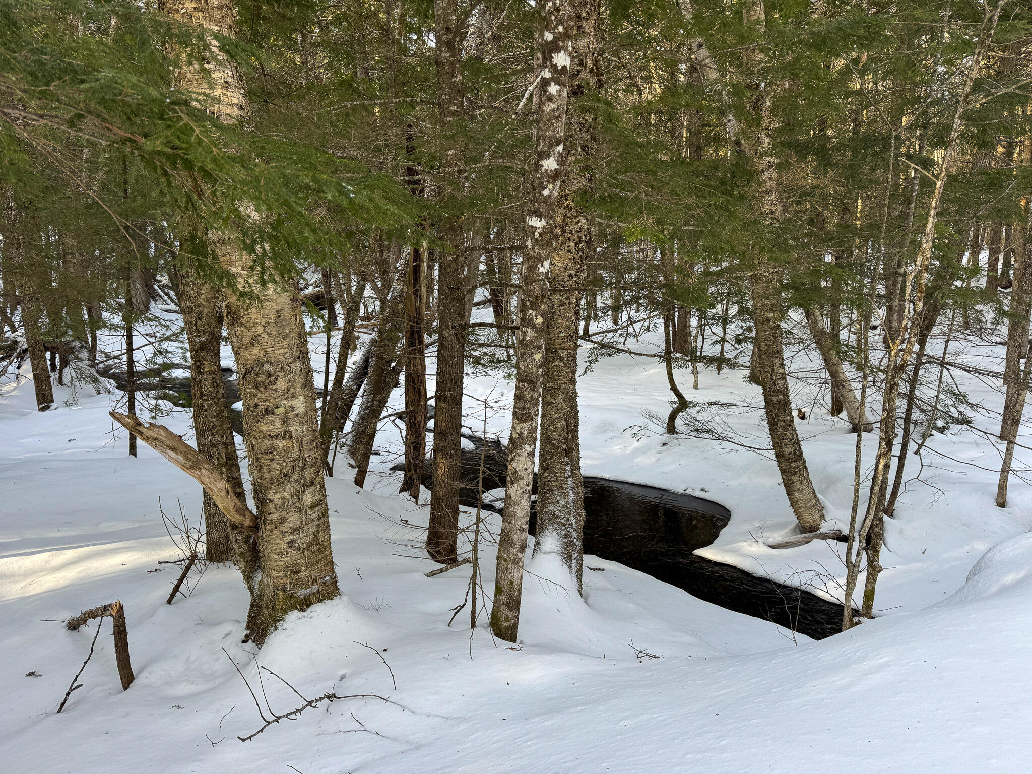 41 Thomas Road Monson, ME 04464 - Photo 13 of 40 13