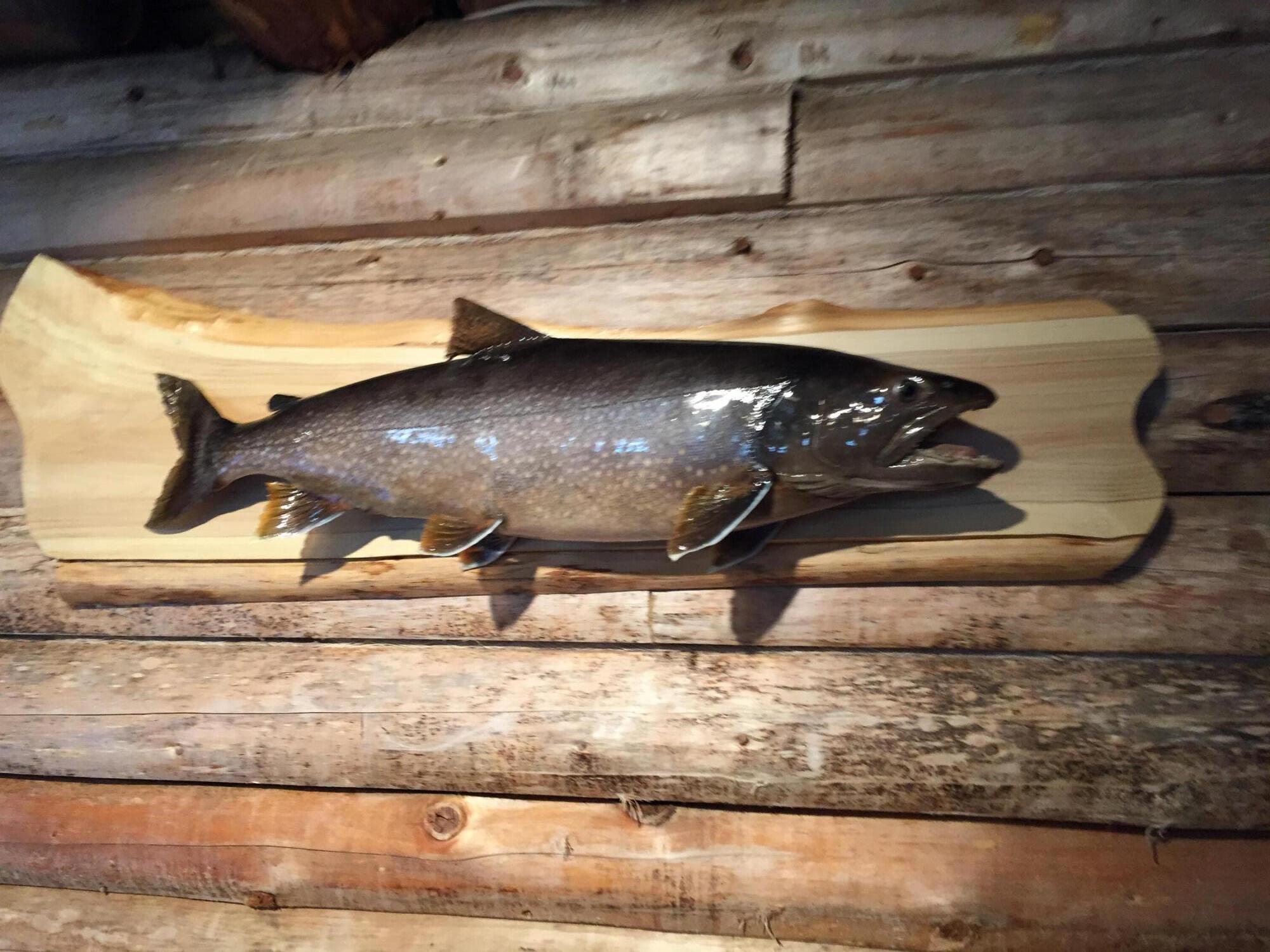 41 Thomas Road Monson, ME 04464 - Photo 32 of 40 IMG_0114