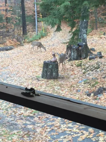 $675,000 | 41 Thomas Road, Monson, ME 04464