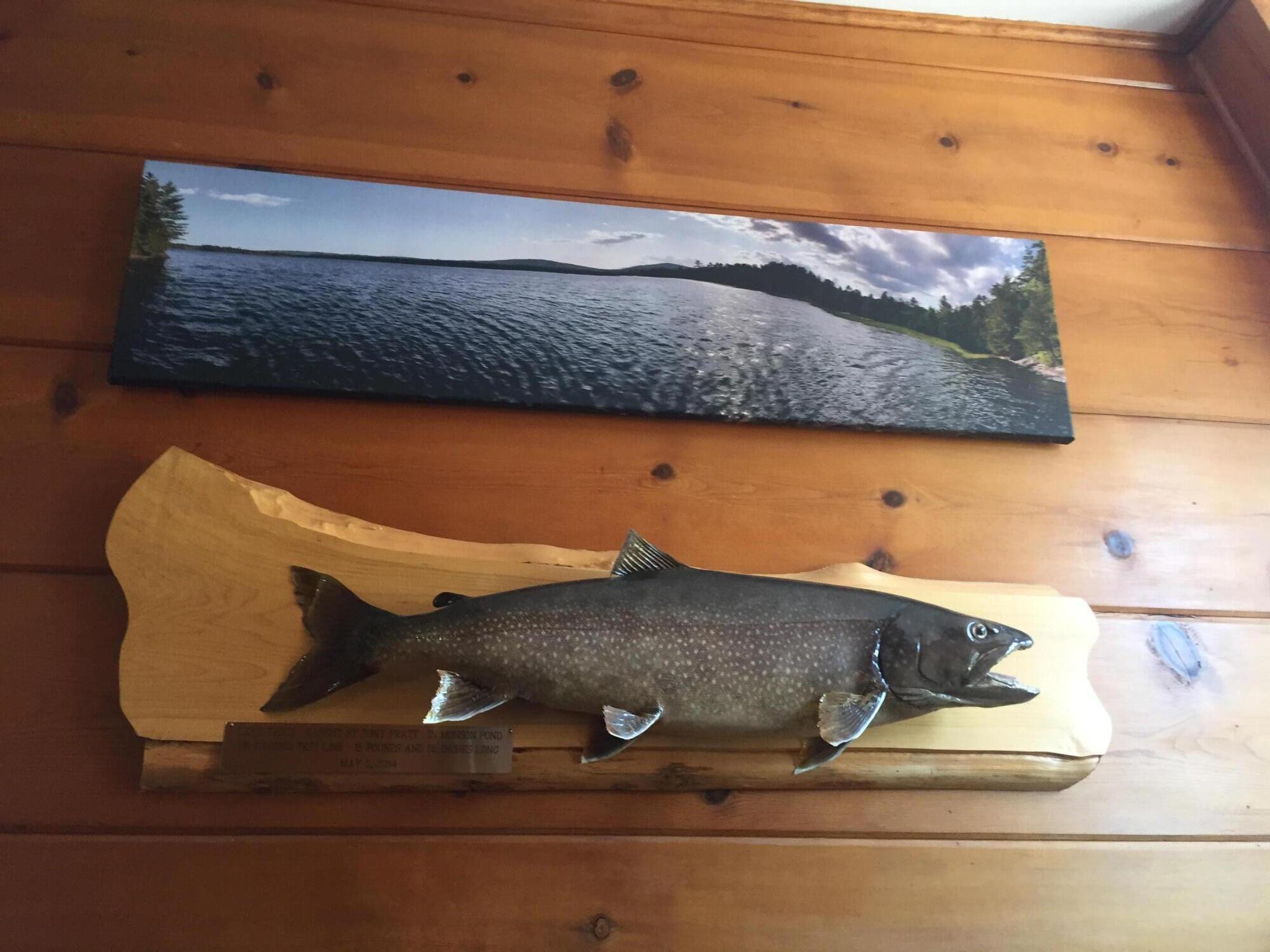 41 Thomas Road Monson, ME 04464 - Photo 38 of 40 IMG_5360