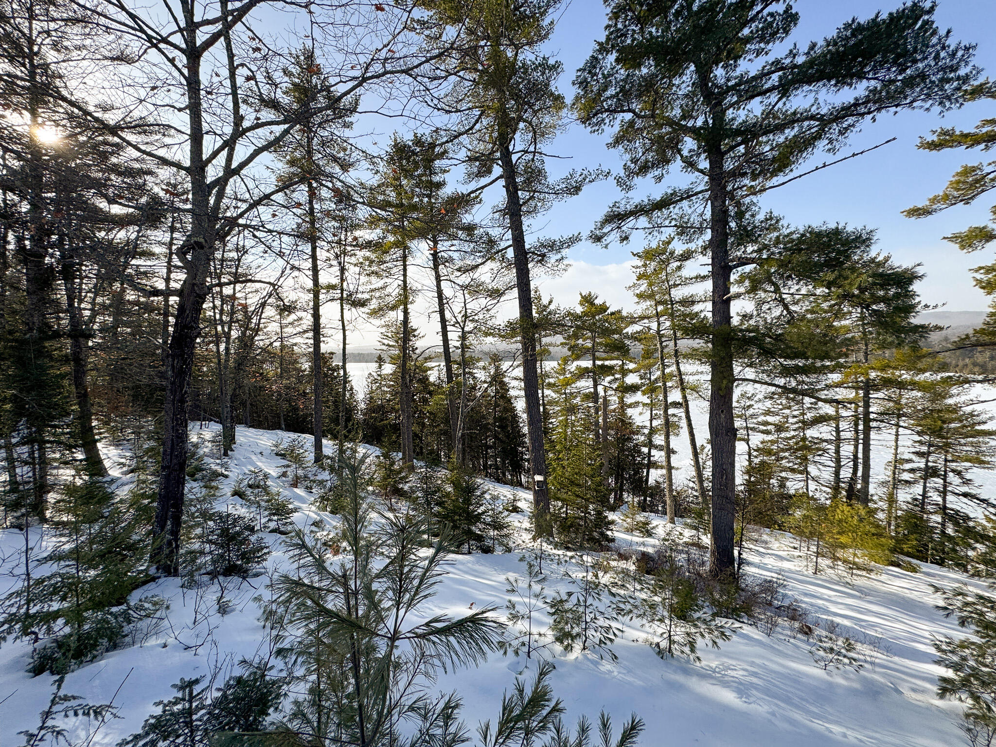 41 Thomas Road Monson, ME 04464 - Photo 8 of 40 8