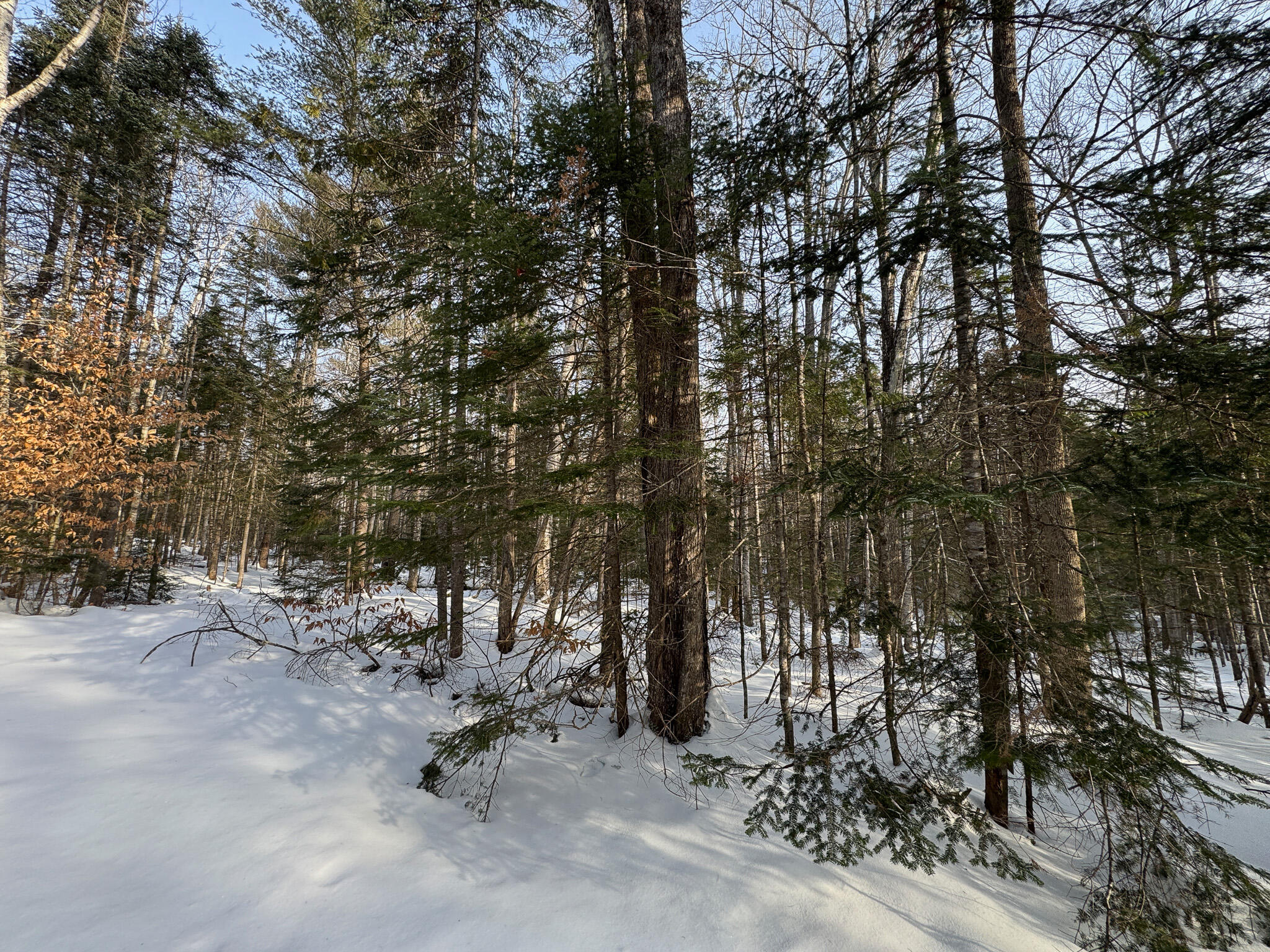 41 Thomas Road Monson, ME 04464 - Photo 9 of 40 9