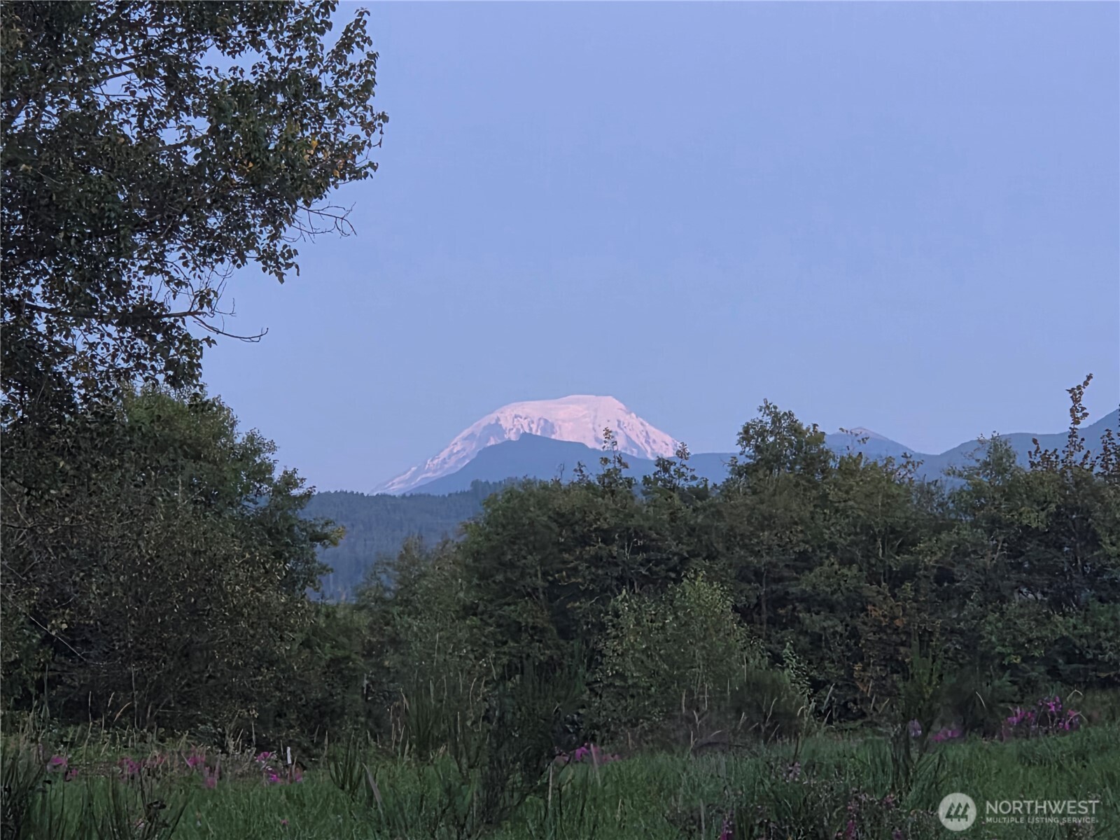 108 Savio Road East Randle, WA 98377 - Photo 22 of 33