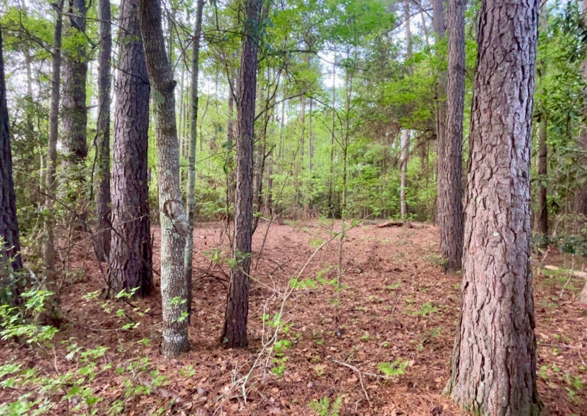 1085 Russellville Road St. Stephen, SC 29479 - Photo 53 of 53 22