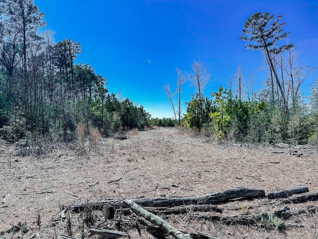 76.19-ac Saxis Road Temperanceville, VA 23442 - Photo 20 of 37