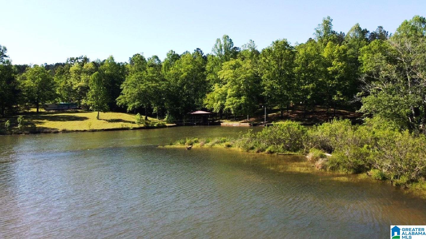 244 County Road 2011 Delta, AL 36258 - Photo 8 of 29