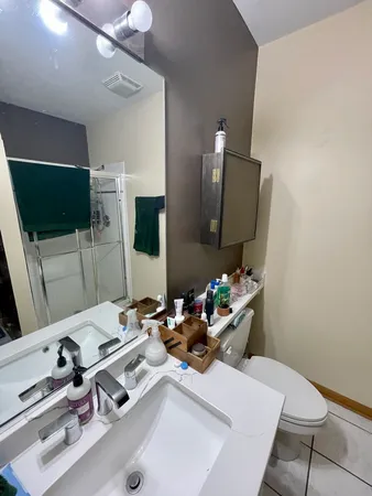 $3,295 | 865 West Buckingham Place, Unit 201, Chicago, IL 60657
