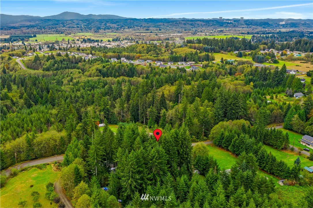 67 Strawberry Hill Road Elma, WA 98541 - Photo 37 of 37 Gallery Image 37