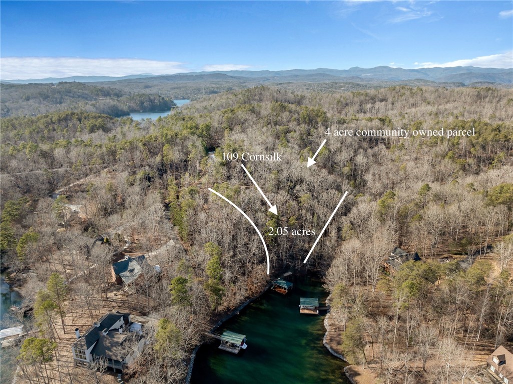 109 Cornsilk Way Sunset, SC 29685 - Photo 13 of 19 Gallery Image 13