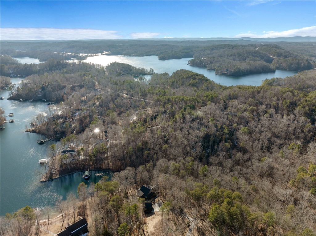 109 Cornsilk Way Sunset, SC 29685 - Photo 15 of 19 Gallery Image 15