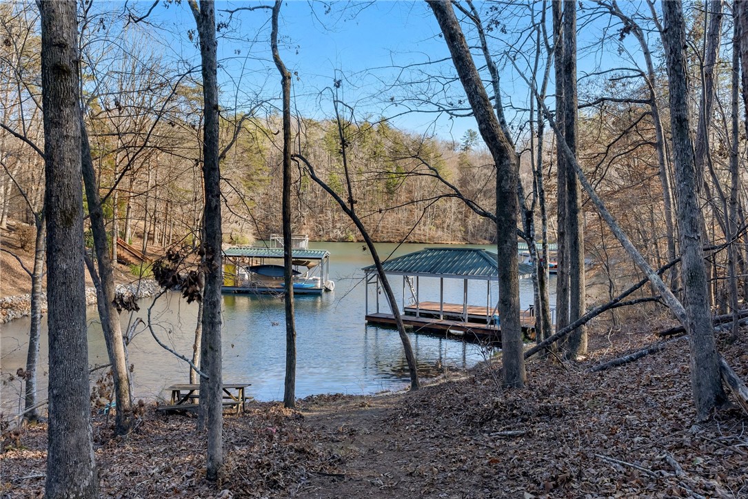 109 Cornsilk Way Sunset, SC 29685 - Photo 17 of 19 Gallery Image 17
