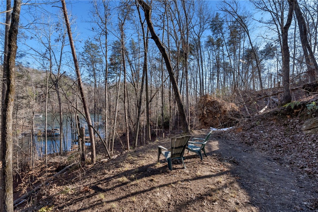 109 Cornsilk Way Sunset, SC 29685 - Photo 18 of 19 Gallery Image 18