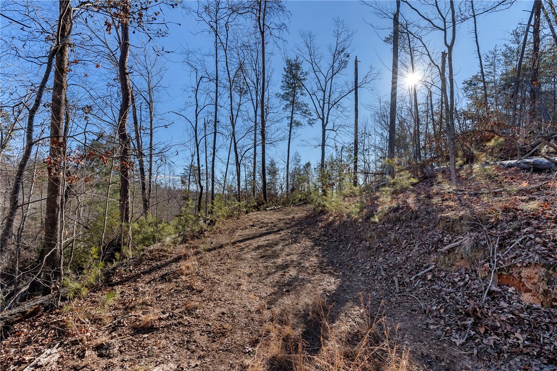 109 Cornsilk Way Sunset, SC 29685 - Photo 19 of 19 Gallery Image 19