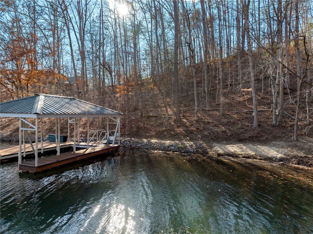 109 Cornsilk Way Sunset, SC 29685 - Photo 3 of 19 Gallery Image 3