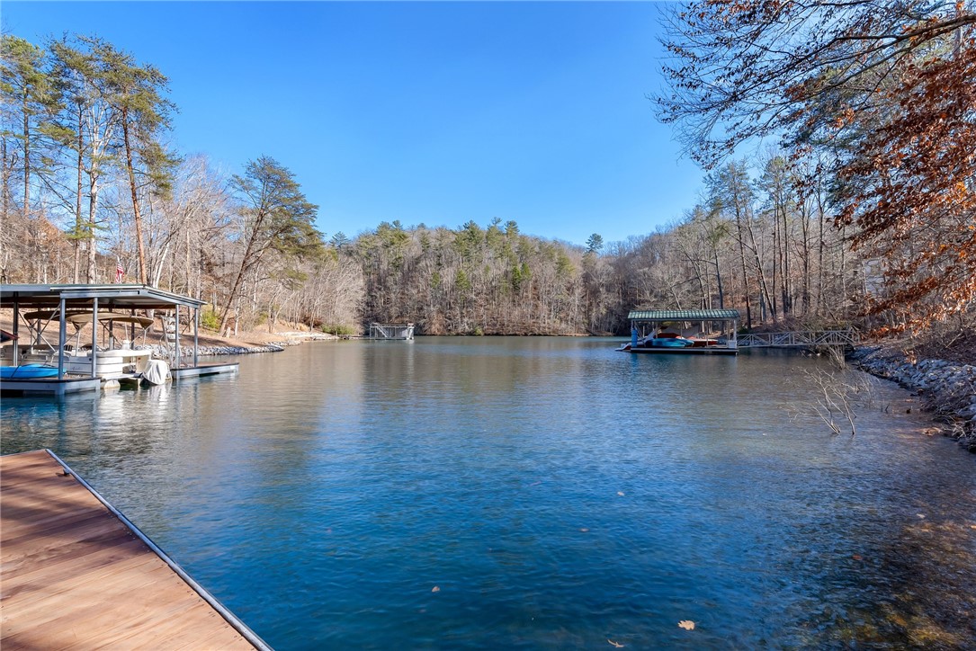 109 Cornsilk Way Sunset, SC 29685 - Photo 6 of 19 Gallery Image 6