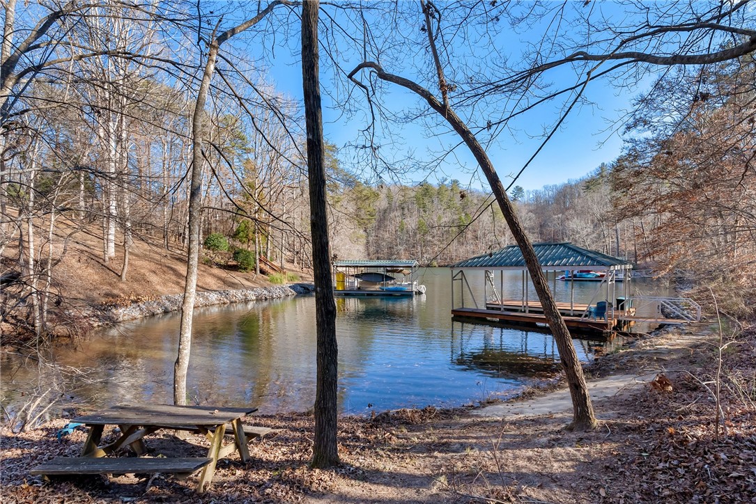 109 Cornsilk Way Sunset, SC 29685 - Photo 7 of 19 Gallery Image 7