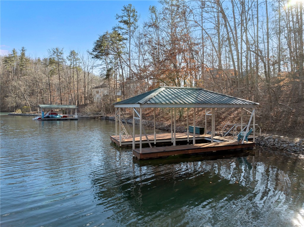 109 Cornsilk Way Sunset, SC 29685 - Photo 8 of 19 Gallery Image 8