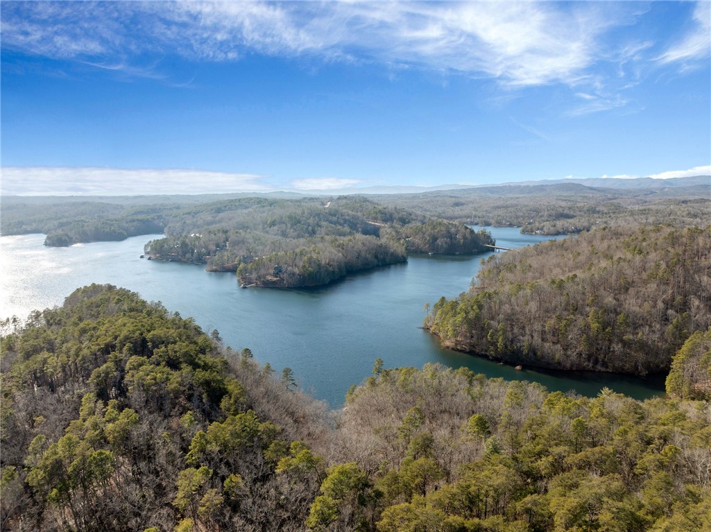 109 Cornsilk Way Sunset, SC 29685 - Photo 10 of 19 Gallery Image 10