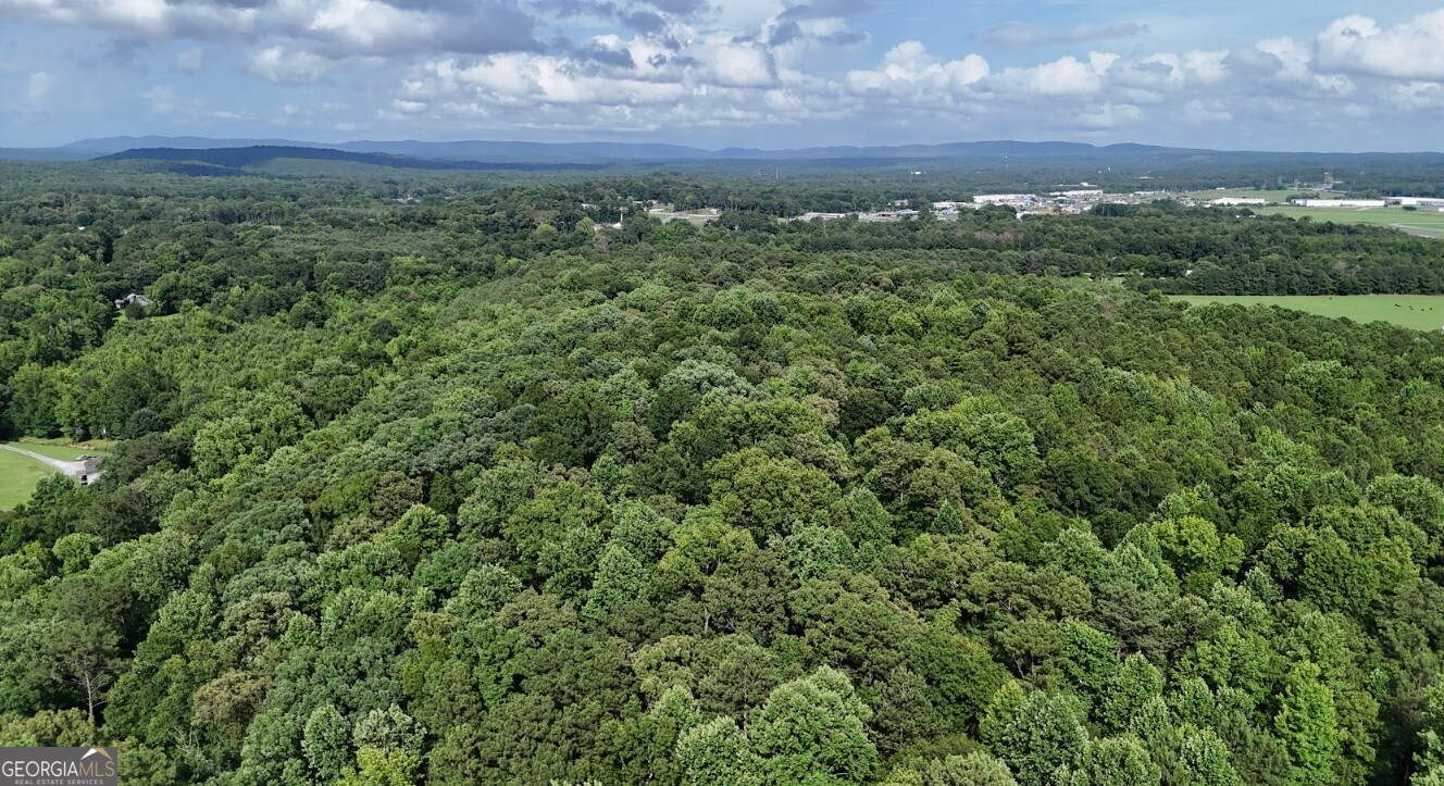 0 Forest Glen Road, Unit A Sylacauga, AL 35151 - Photo 4 of 65