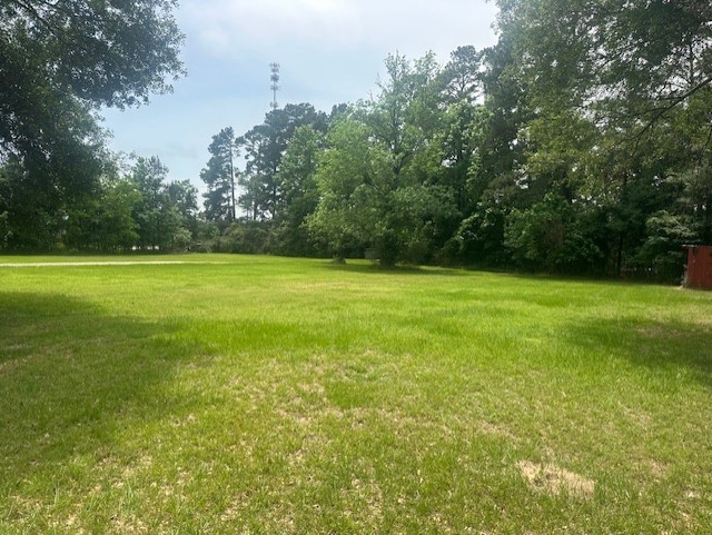 39302 Cimarron Way Magnolia, TX 77354 - Photo 40 of 40
