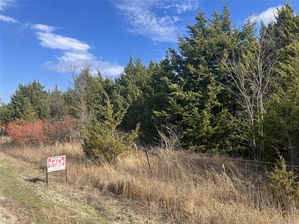 670 County Road 670 Blue Ridge, TX 75424 - Photo 2 of 6 a view of a dry yard with wooden fence