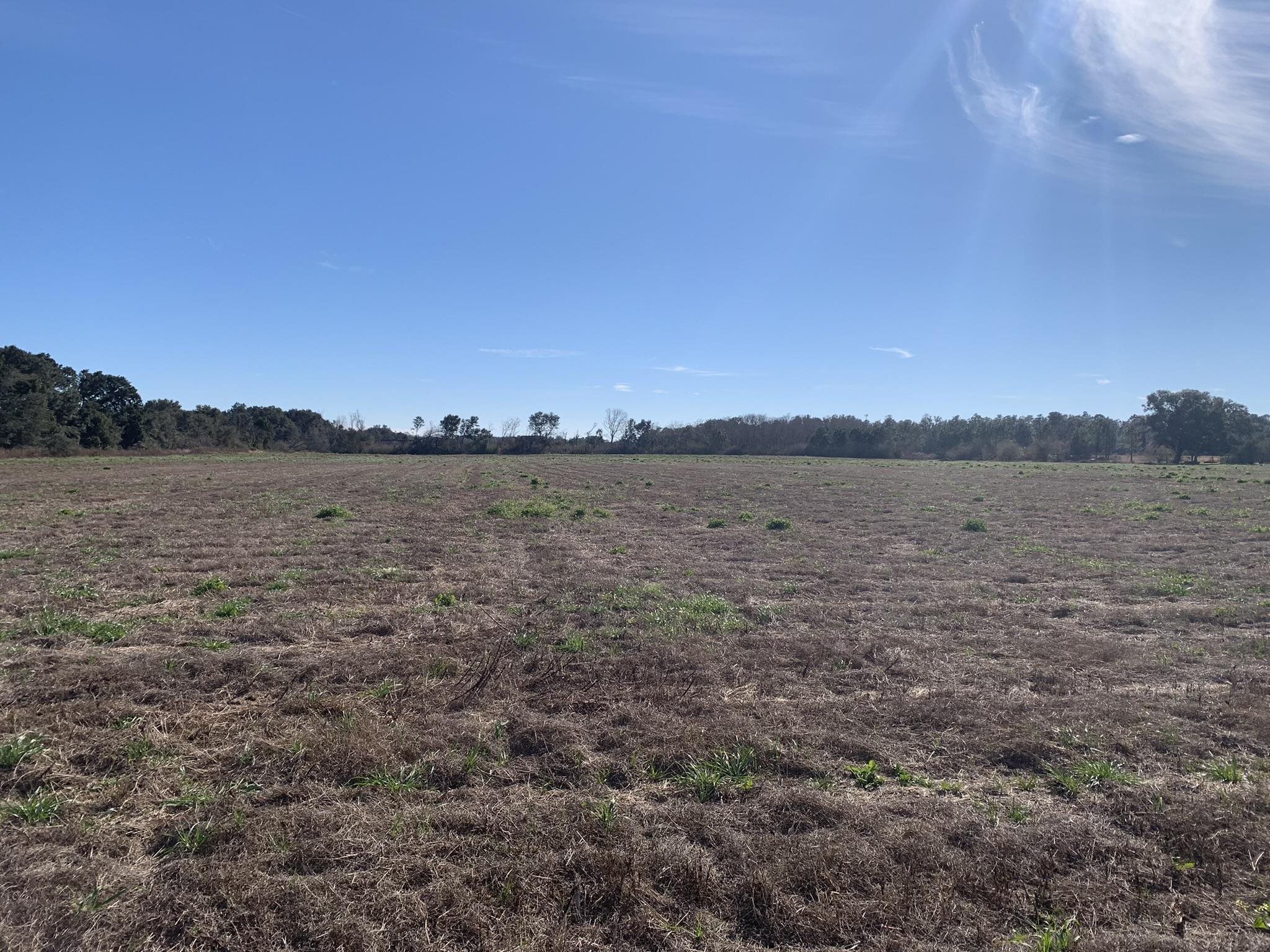 Lot 3 Wilson Road Elberta, AL 36530 - Photo 1 of 4