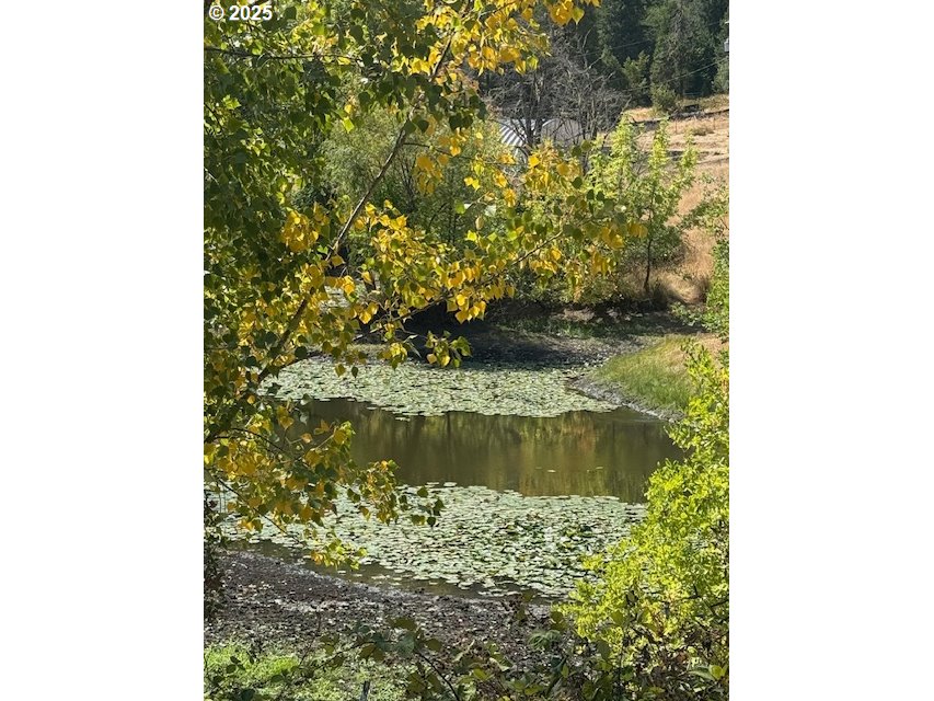 1604 Spring Brook Road Myrtle Creek, OR 97457 - Photo 4 of 43 Pond