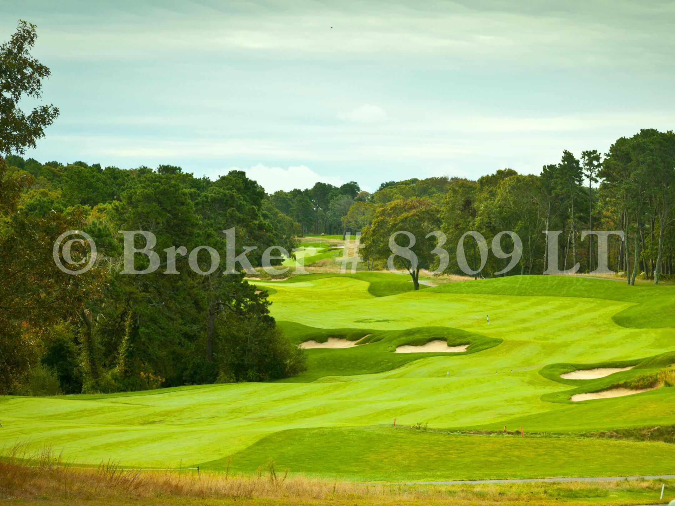 62 Fletcher Lane, Unit G Brewster, MA 02631 - Photo 27 of 30 a view of a golf course with a lake