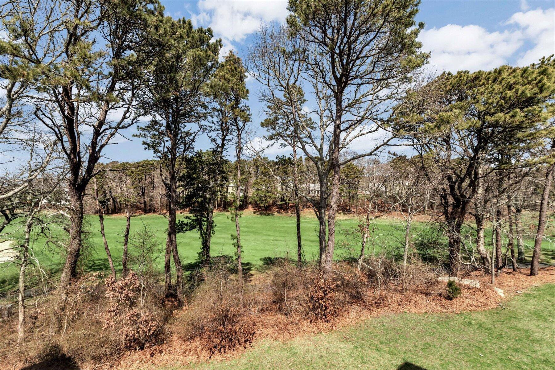 62 Fletcher Lane, Unit G Brewster, MA 02631 - Photo 6 of 30 a view of a green field with lots of bushes
