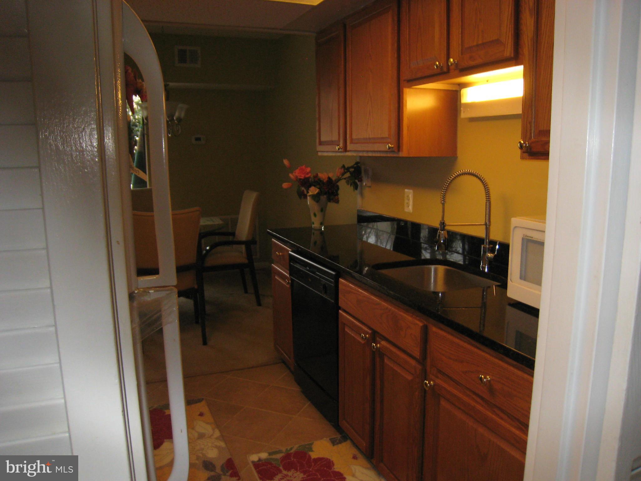 2234 Castle Rock Square, Unit 11C Reston, VA 20191 - Photo 3 of 30 a kitchen with a sink and cabinets