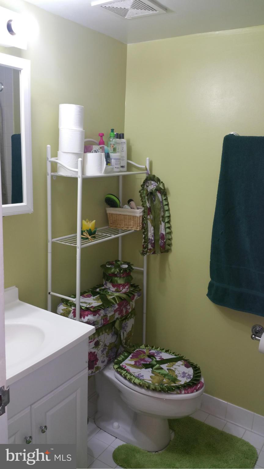 2234 Castle Rock Square, Unit 11C Reston, VA 20191 - Photo 24 of 30 a bathroom with a sink and a mirror