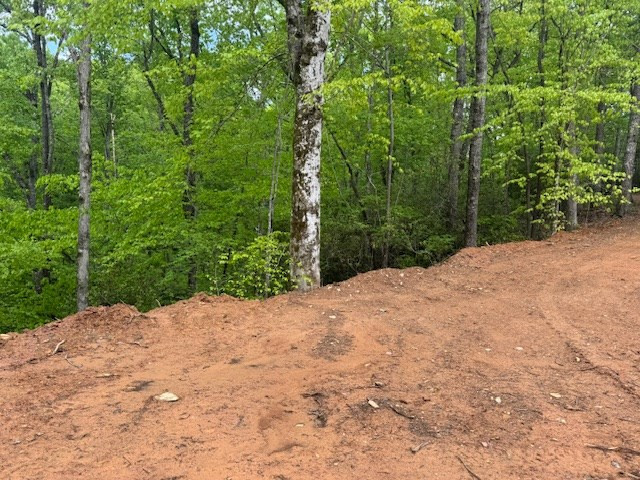 0 Tyler Lane Marble, NC 28905 - Photo 24 of 31