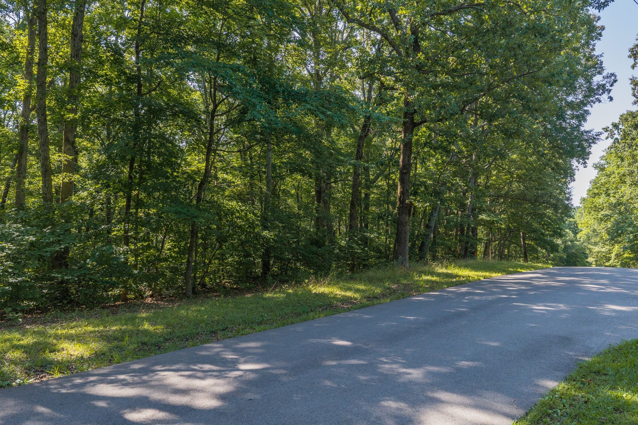 175 Taylor Road Dickson, TN 37055 - Photo 4 of 9