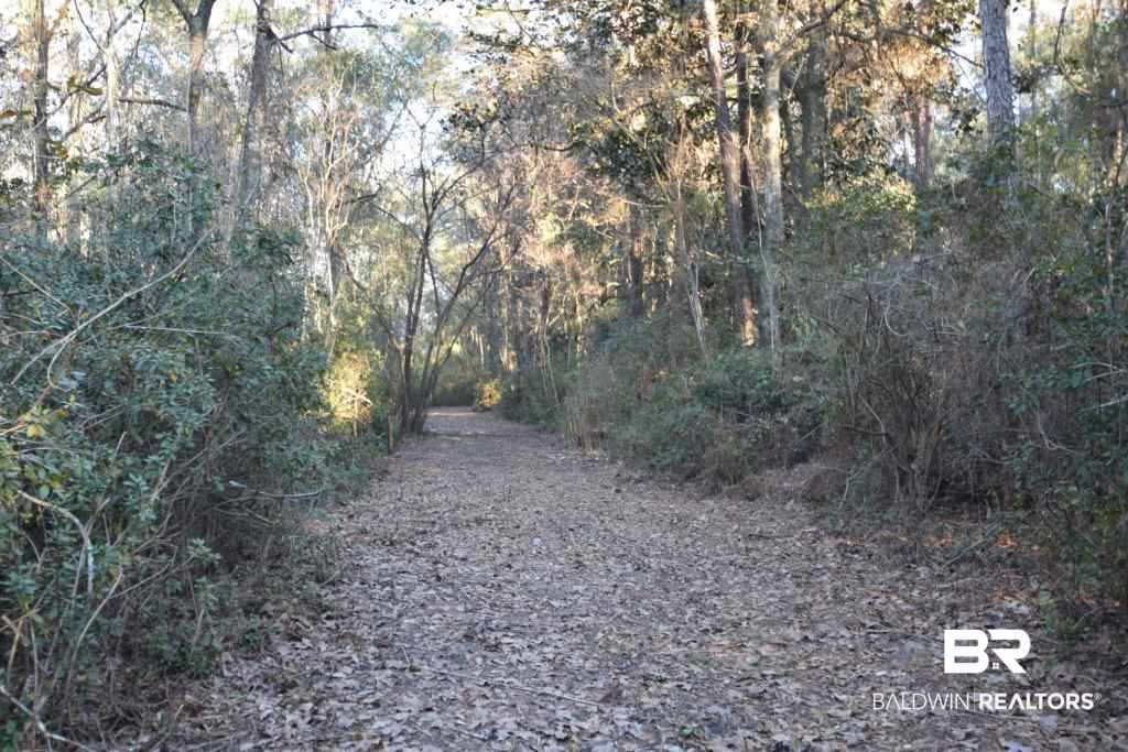 0 Riviere Du Chien Mobile, AL 36693 - Photo 16 of 17