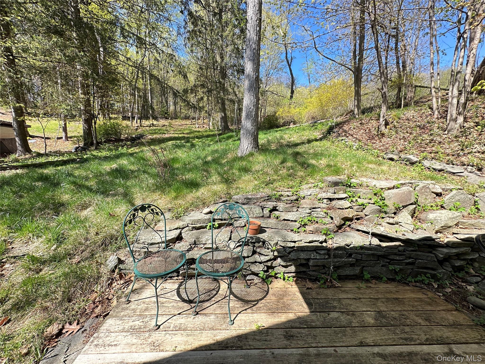10 Upper Ferndale Road Liberty, NY 12754 - Photo 25 of 30 a view of yard with swimming pool