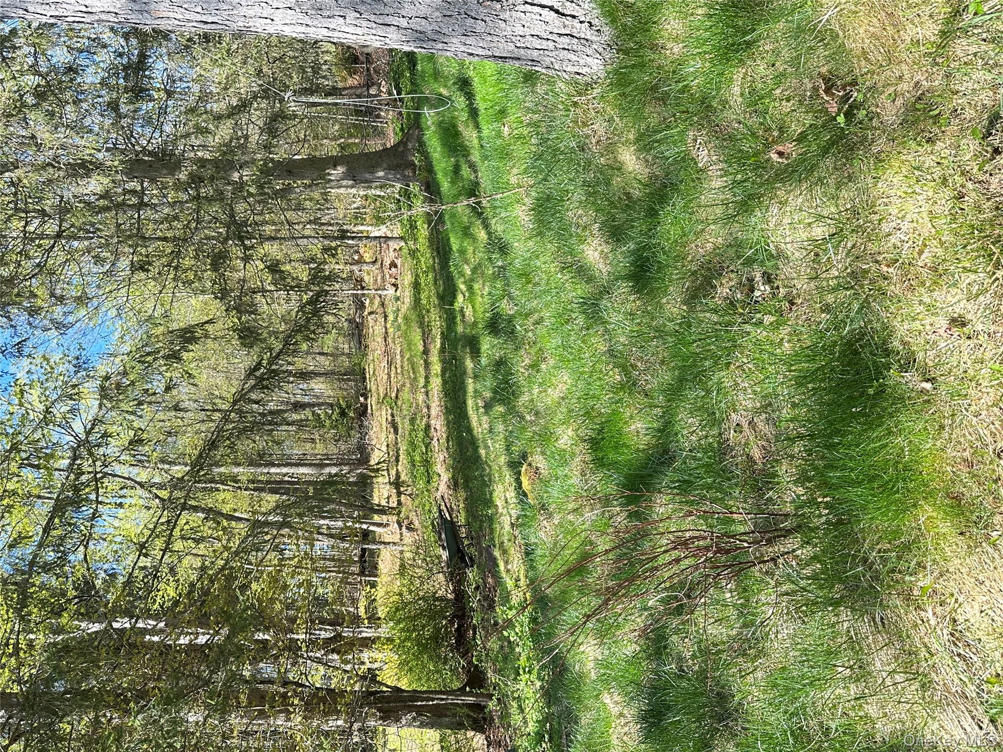 10 Upper Ferndale Road Liberty, NY 12754 - Photo 28 of 30 a view of a park with large trees