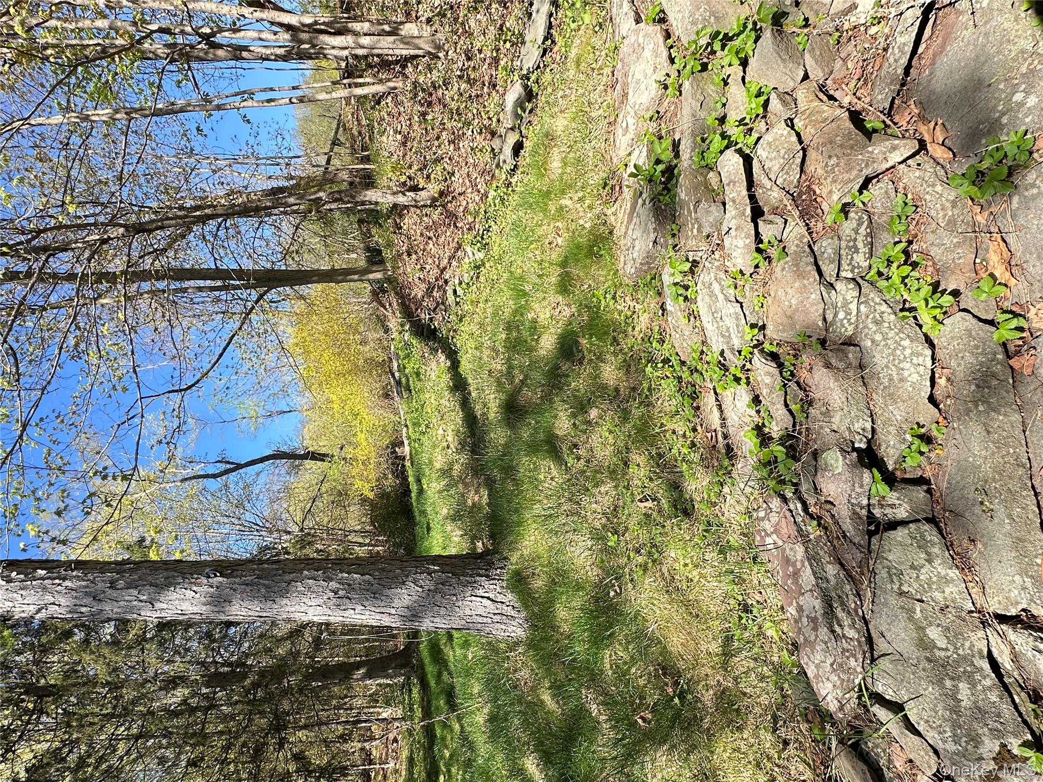 10 Upper Ferndale Road Liberty, NY 12754 - Photo 29 of 30 a view of yard covered with snow