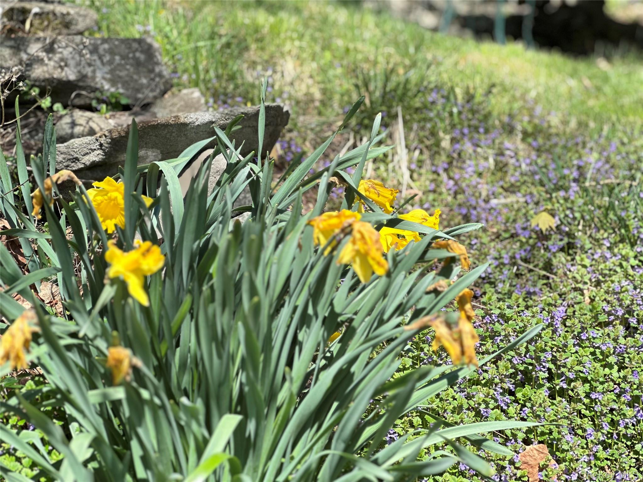 10 Upper Ferndale Road Liberty, NY 12754 - Photo 30 of 30 a view of a yard