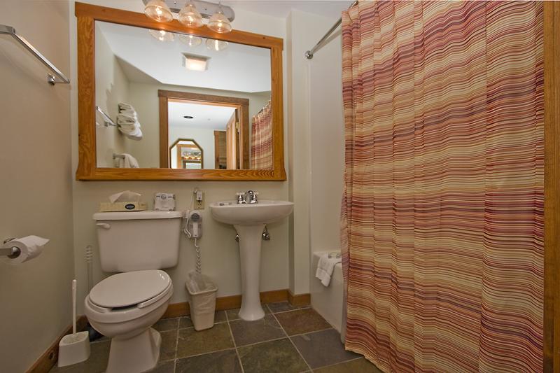 203 Rimfire Snowshoe, WV 26209 - Photo 7 of 7 Bathroom