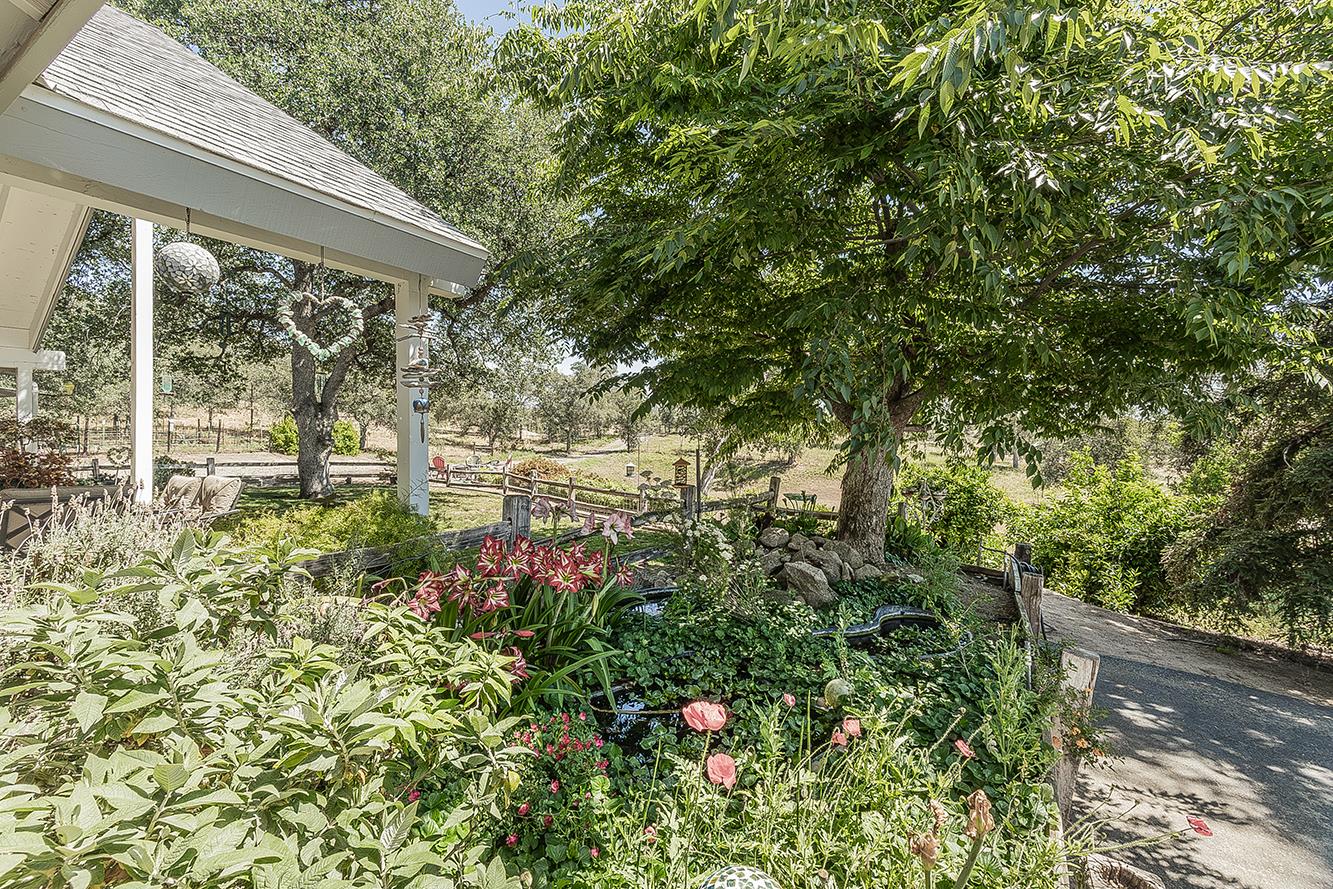 14815 Garlock Lane Prather, CA 93651 - Photo 40 of 80 a view of a yard with plants and large trees