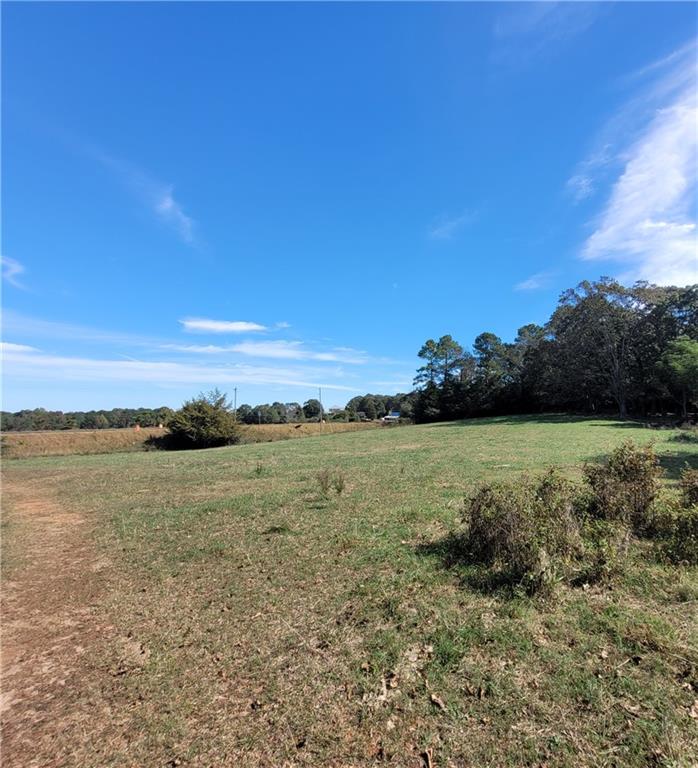 8065 Sandy Cross Road Carnesville, GA 30521 - Photo 2 of 3