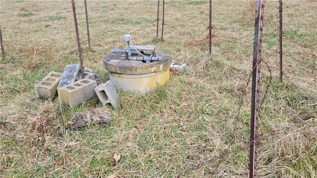 8065 Sandy Cross Road Carnesville, GA 30521 - Photo 3 of 3